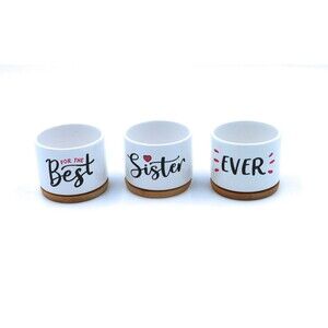 Best Sister Ever Gift Ceramic Succulent Pot Succulent Planter Pots with Drainage